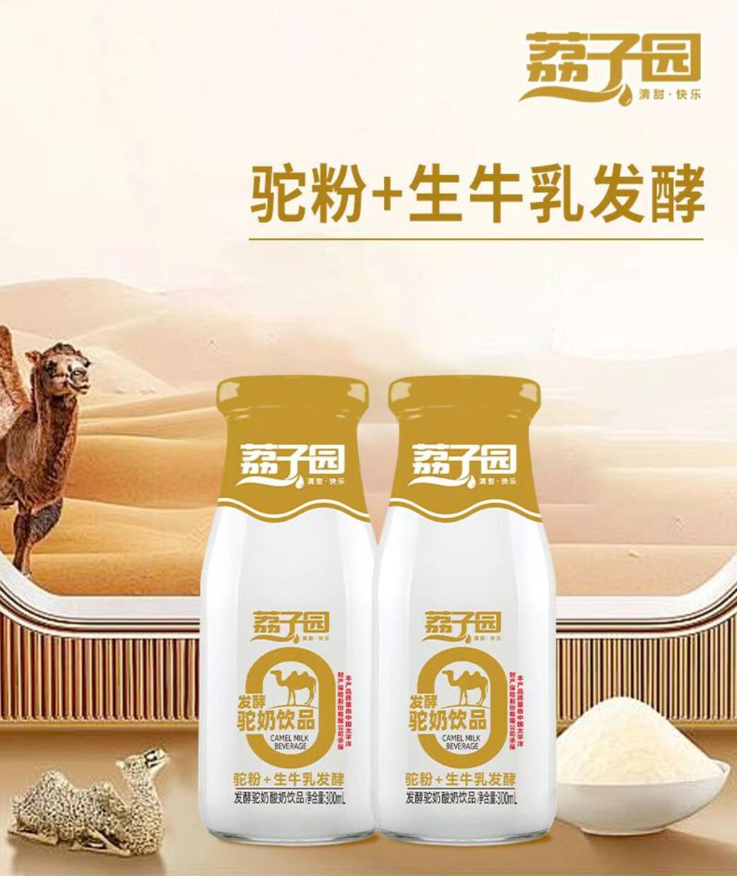 駝奶+生牛乳發(fā)酵300mlx12瓶